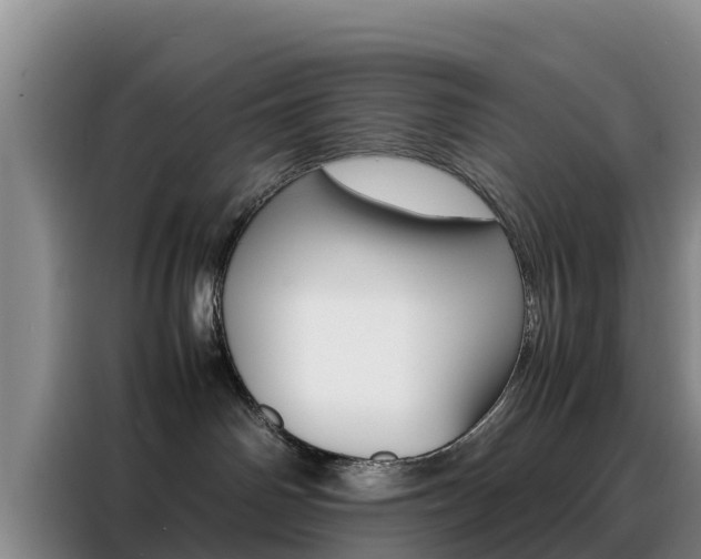 X0000088360142200705220740