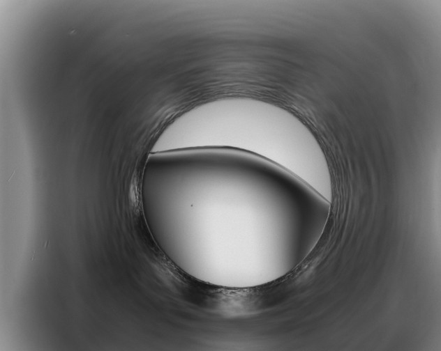 X0000088360143200705220740