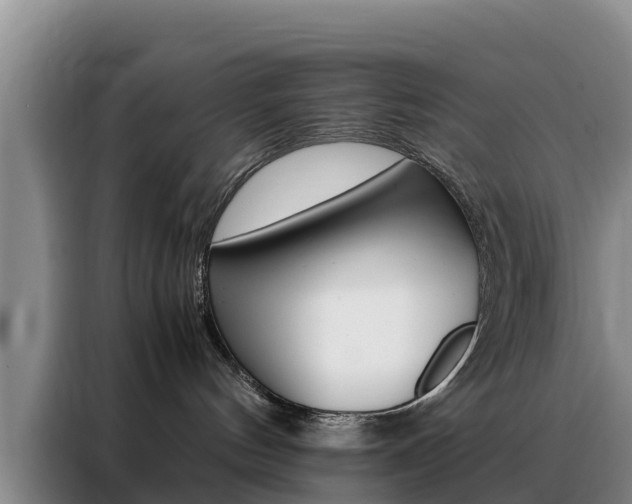 X0000088360144200705220740