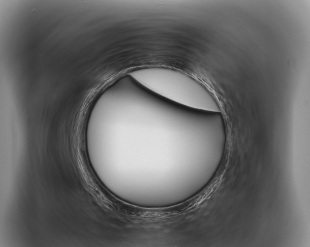 X0000088360145200705220740
