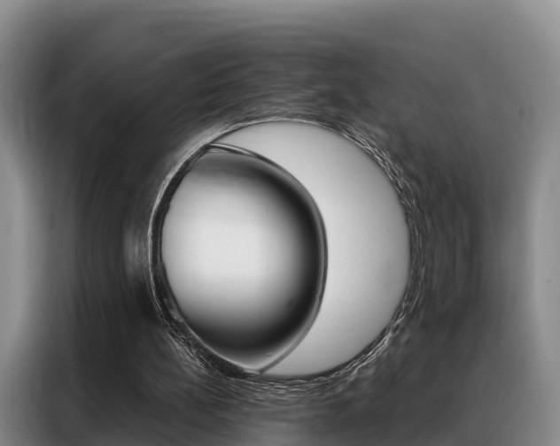 X0000088360148200705220740