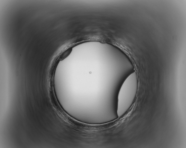 X0000088360149200705220740