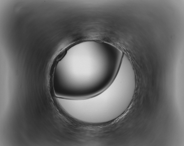 X0000088360150200705220740