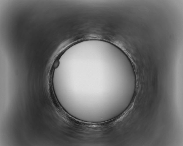 X0000088360151200705220740