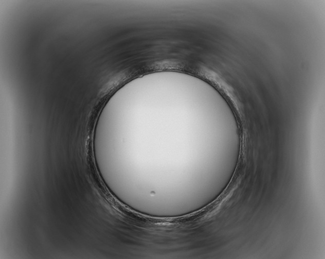 X0000088360153200705220740
