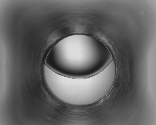 X0000088360154200705220740