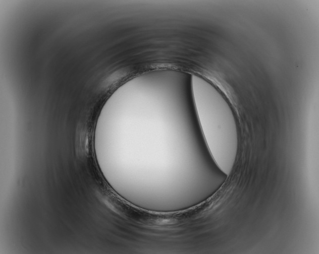X0000088360157200705220740