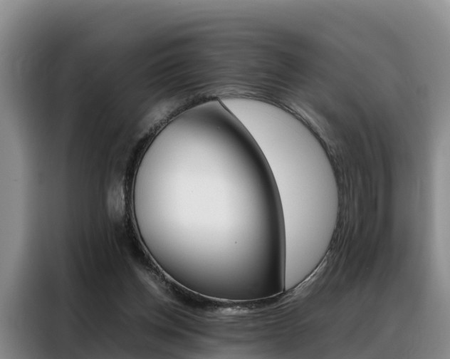 X0000088360158200705220740