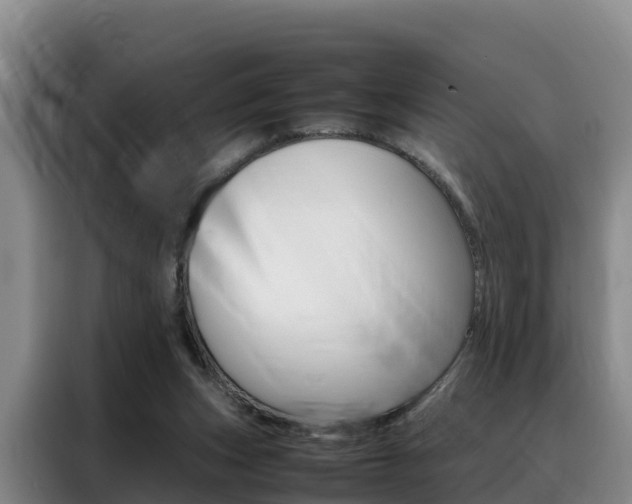 X0000088360159200705220740