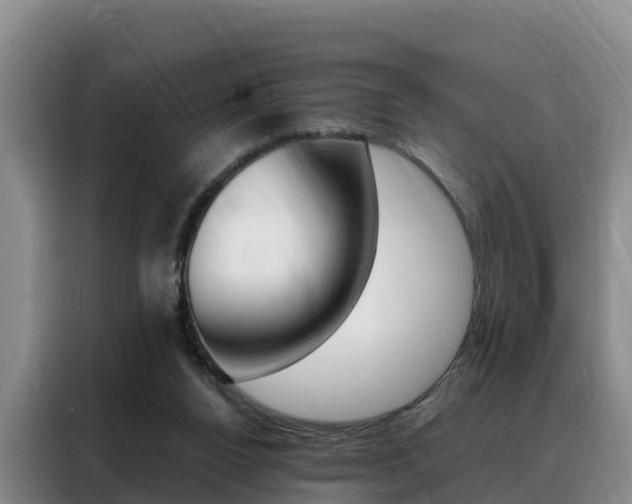 X0000088360160200705220740