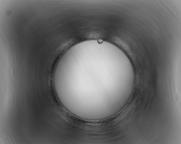 X0000088360161200705220740