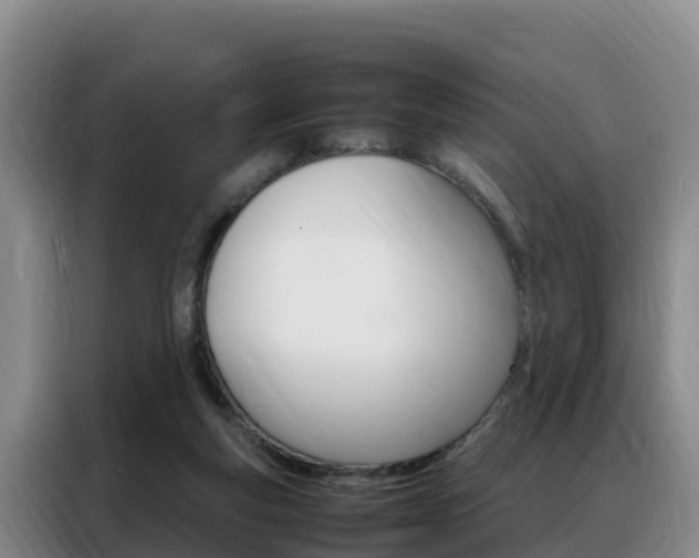 X0000088360163200705220740