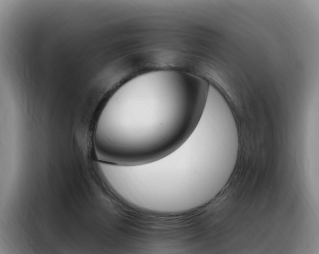 X0000088360164200705220740