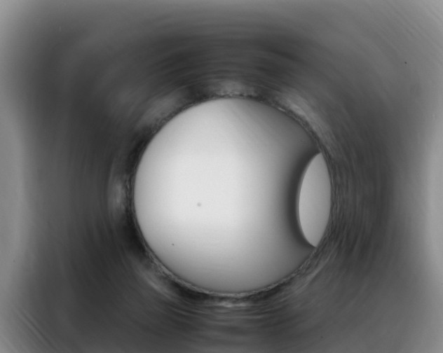 X0000088360165200705220740
