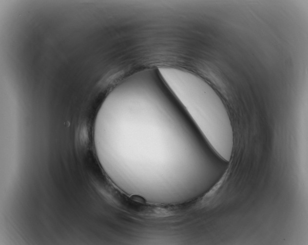 X0000088360166200705220740