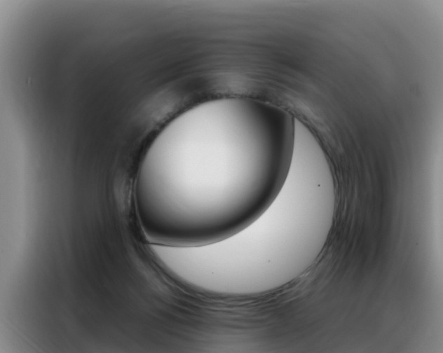 X0000088360168200705220740