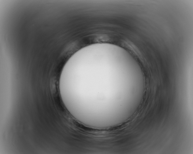 X0000088360169200705220740