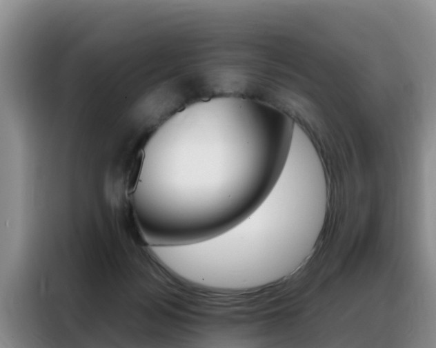 X0000088360172200705220740