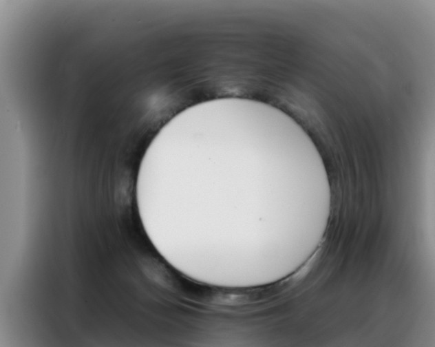 X0000088360174200705220740