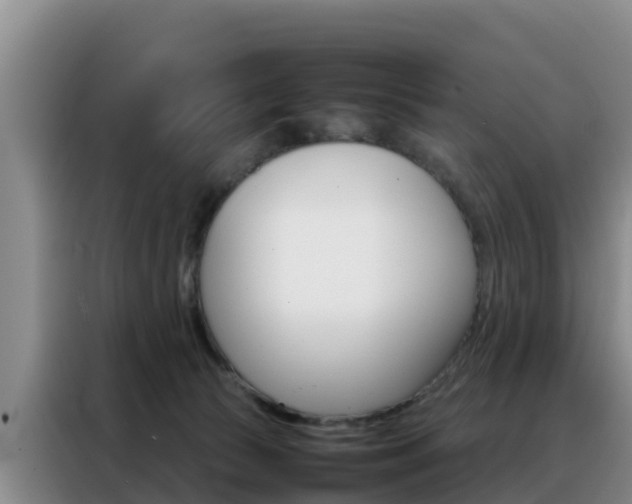 X0000088360177200705220740