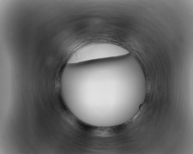 X0000088360179200705220740