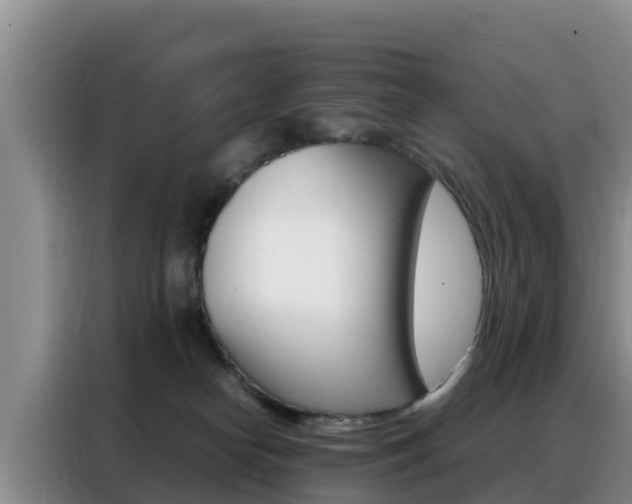 X0000088360182200705220740