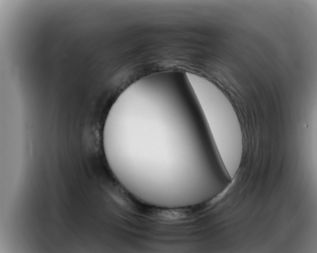 X0000088360183200705220740