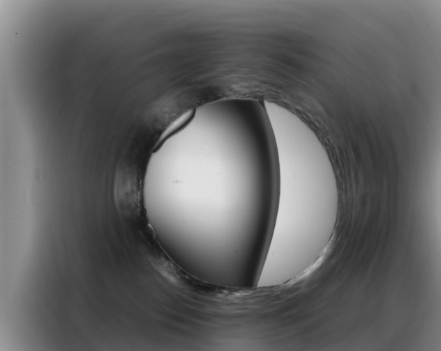 X0000088360186200705220740