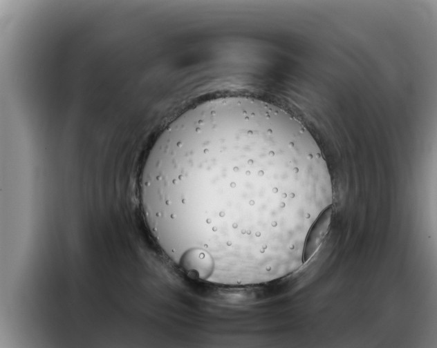 X0000088360187200705220740