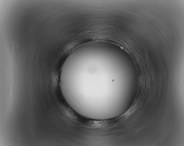 X0000088360188200705220740