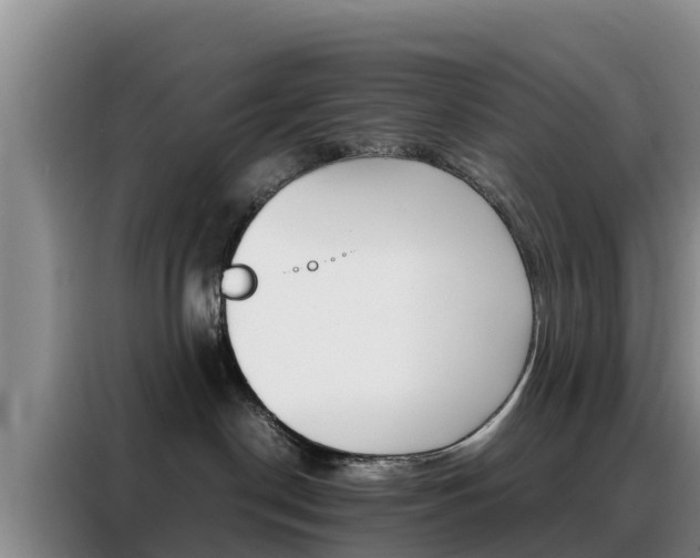 X0000088360190200705220740