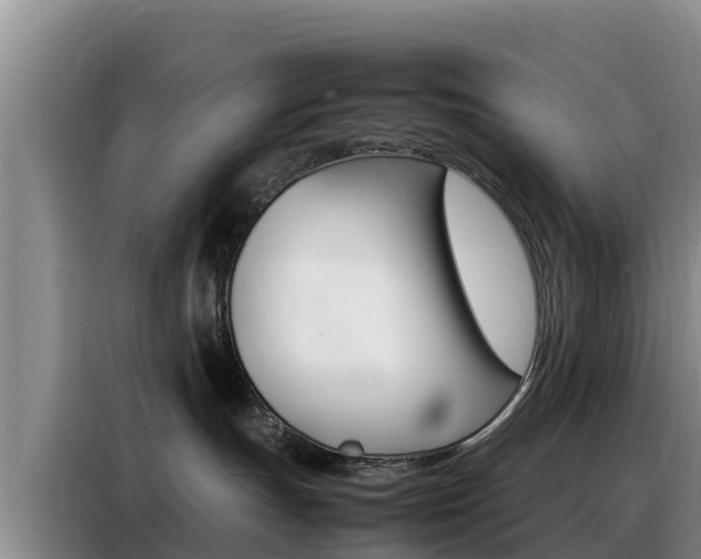 X0000088360191200705220740