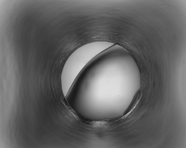 X0000088360192200705220740