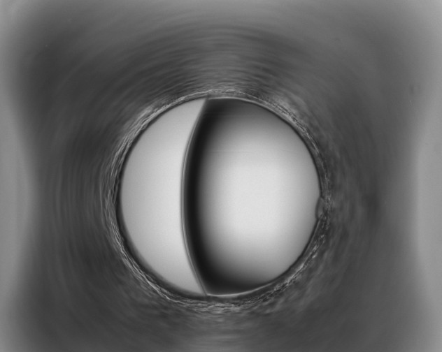 X0000088360193200705220740