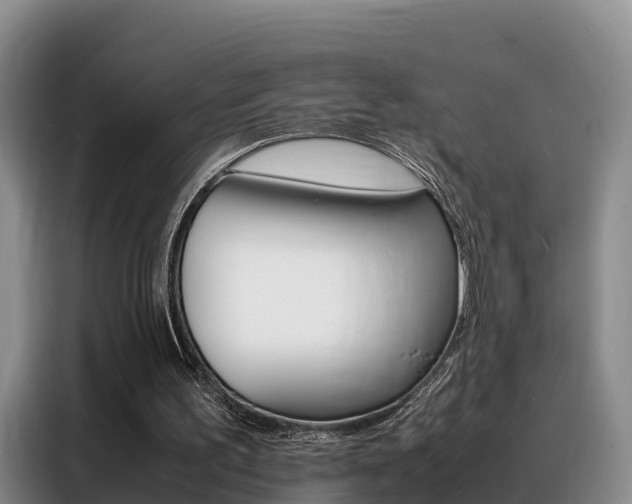 X0000088360195200705220740