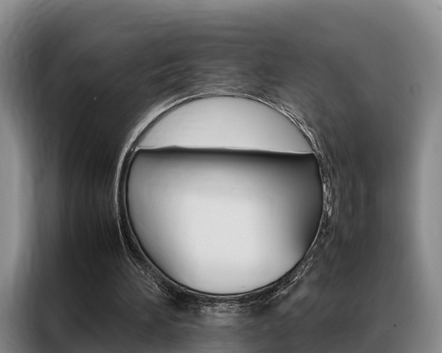 X0000088360196200705220740