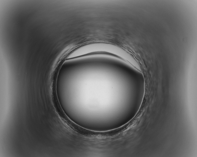 X0000088360197200705220740