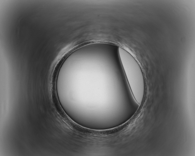 X0000088360199200705220740