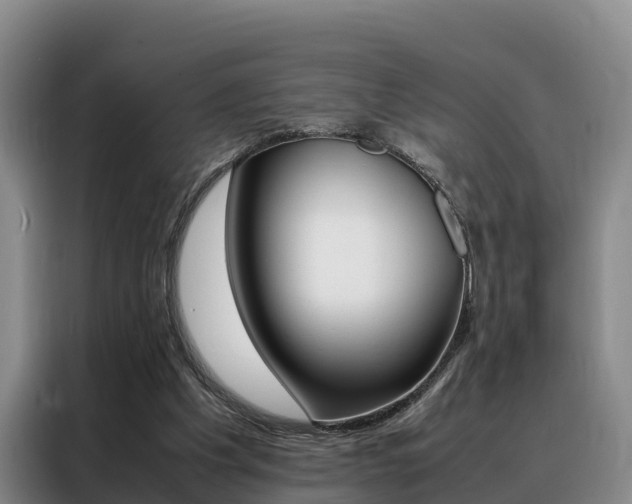 X0000088360201200705220740