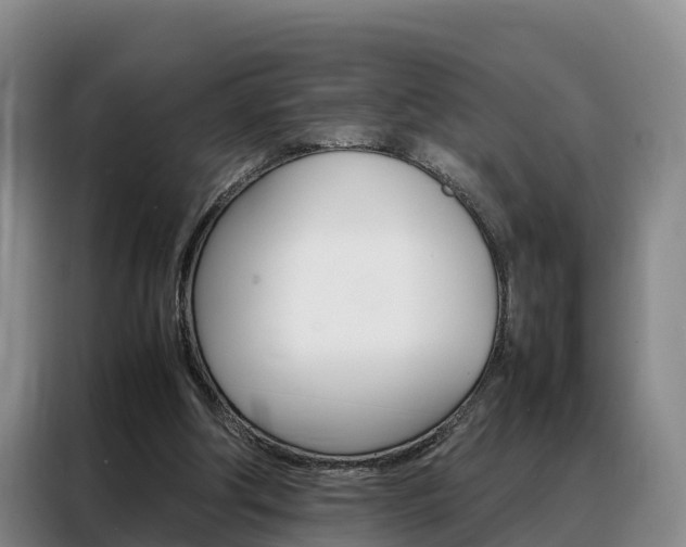 X0000088360202200705220740