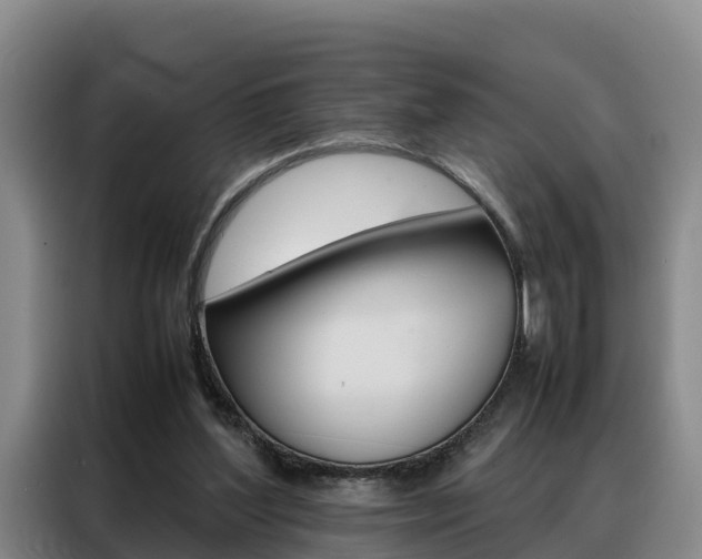 X0000088360204200705220740