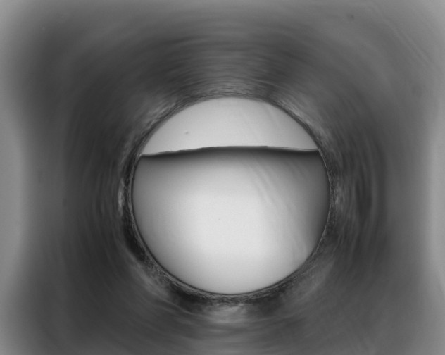 X0000088360206200705220740