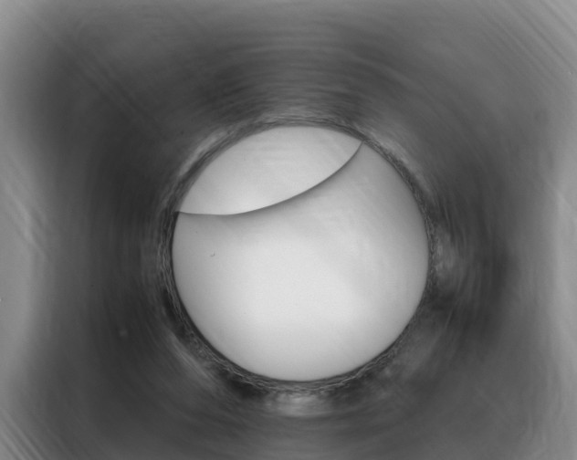 X0000088360208200705220740