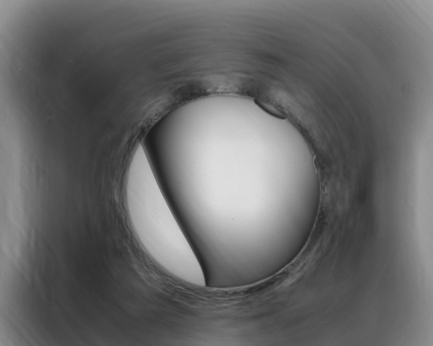X0000088360209200705220740