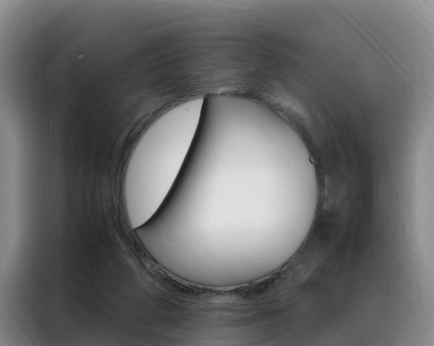 X0000088360210200705220740