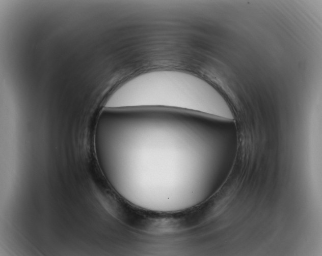 X0000088360212200705220740