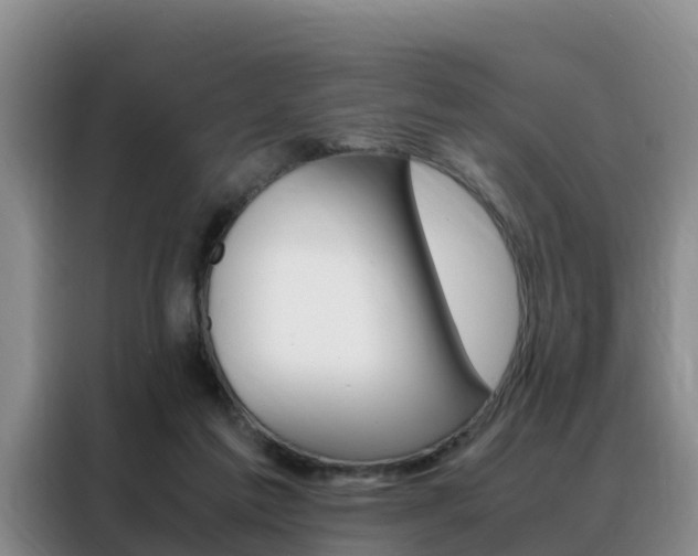 X0000088360213200705220739