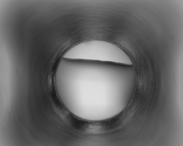 X0000088360214200705220739