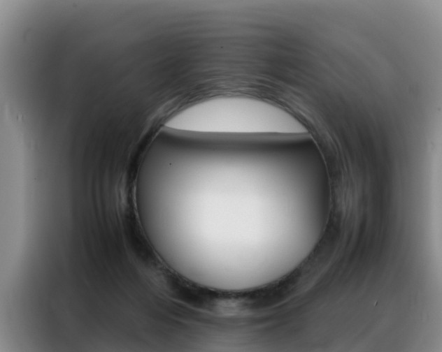 X0000088360216200705220739