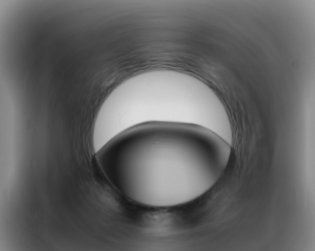 X0000088360219200705220739